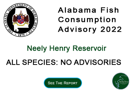 Current Water Quality Neely Henry Lake Alabama
